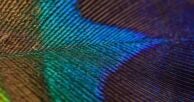 KubeCon + CloudNativeCon India 2025
